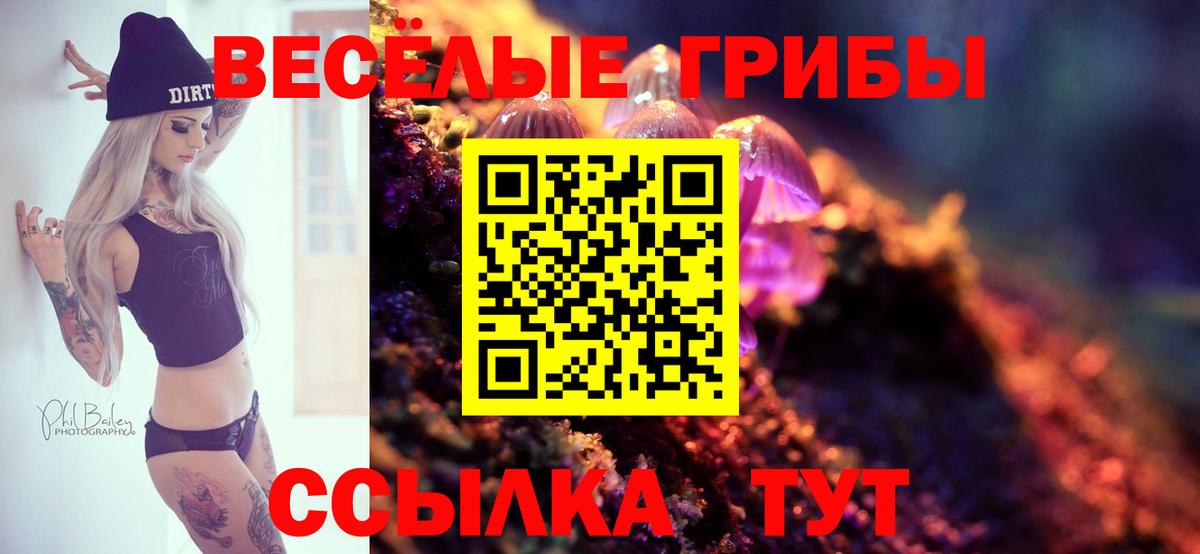 Галлюциногенные грибы ЛСД Кемерово